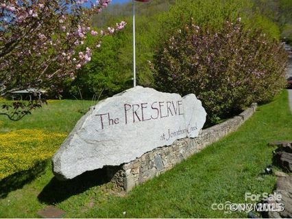 Homes in The Preserve At Jonathan Creek, Waynesville