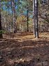 0 Cross Creek Drive sold home in Rutherfordton, SC