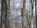 00 Old Country Road sold home in Waynesville, SC