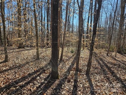 Homes in Rutherford Towne, Rutherfordton
