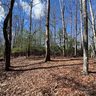 Tract 32 B Kentwood Lane sold home in Pisgah Forest, SC