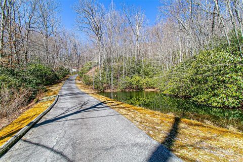 Homes in Whiskey Creek, Brevard