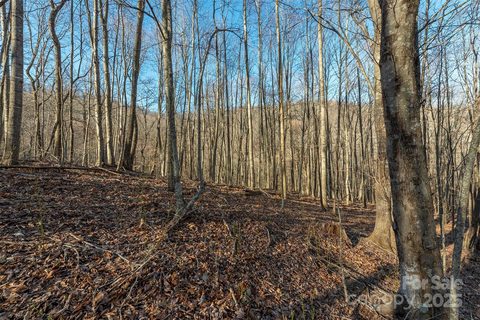 885 Stoney Stream Lane active lot in Avery Park, Arden, NC