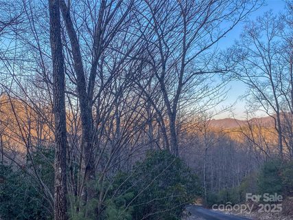 Lot 26 Ridge Trail Drive sold lot in Sweetwater Ridge, Balsam Grove, NC