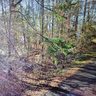 12312 Fellowship Drive sold home in Charlotte, SC