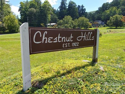 0000 Thomasville Lane active land listing in Chestnut Hills, Gerton, NC