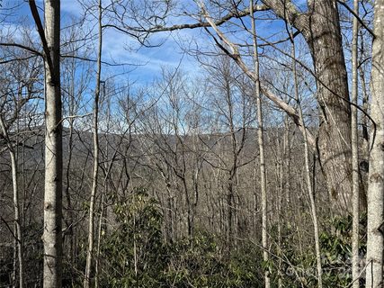 L13 Black Bear Court sold lot in Overlook At Sapphire, Sapphire, NC