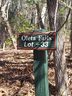 162 Bear Landing Drive sold home in Hendersonville, SC