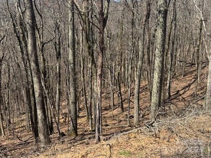 261 Grouse Thicket Lane active home in Wolf Laurel, Mars Hill, NC