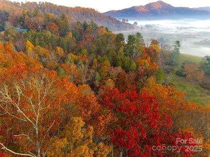 Homes in The Glens Of Ironduff, Waynesville