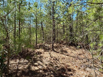 99 Oak Laurel Road sold lot in Oak Laurel, Brevard, NC