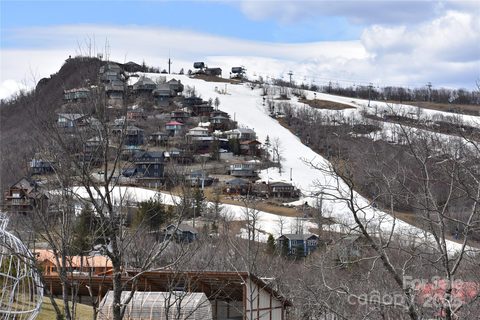 Homes in Pinnacle Inn, Beech Mountain
