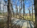 00 Woodlyn Etch Drive 1 sold home in Hendersonville, SC