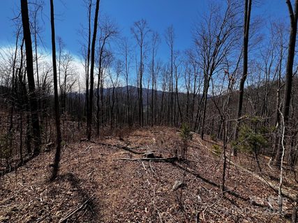 0 Rocky Face Drive RF-1 / D-19 sold lot in Springdale Estates, Canton, NC