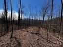 0 Rocky Face Drive RF-1 / D-19 sold home in Canton, SC