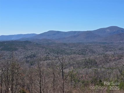 00 Golden Ridge Drive active home in Vista At Bills Mountain, Lake Lure, NC