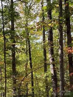 Lot 28 Mentink Way active home in Hidden Lake, Nebo, NC