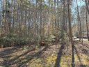 194 Delwood Court sold home in Mount Gilead, SC