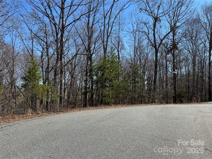 00 Shady Bark Lane active home in Ole Plantation, Rutherfordton, NC