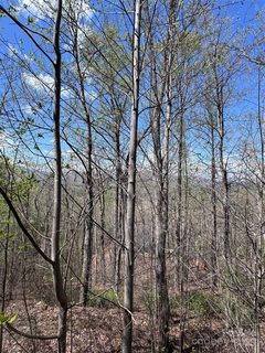 0 High Pines Loop active home in Vista At Bills Mountain, Lake Lure, NC