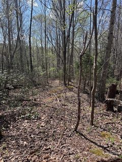 0 Brookside Parkway sold home in Brookside Forest, Lake Lure, NC