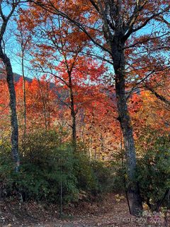 Homes in Hemlock Falls, Sylva