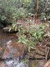 Tract A Cherrywood Lane sold home in Pisgah Forest, SC