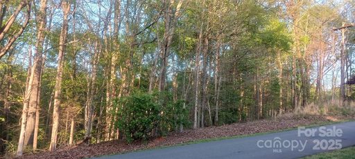 122 Plum Tree Lane 121 sold home in Spring Shore, Statesville, NC
