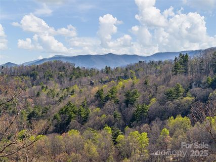 130 Summit Tower Circle active home in Reynolds Mountain, Asheville, NC