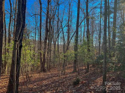 203 Bent Pine Trace 179