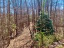2 78 Acres Lot 84 Round Rock Road sold home in Lenoir, SC