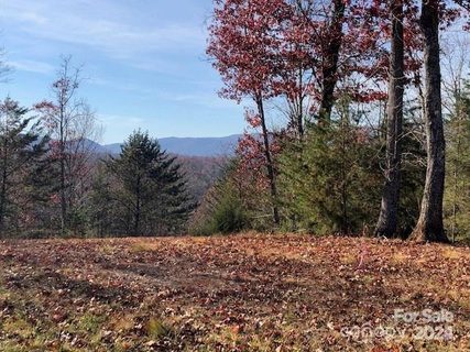 30 Mountain Parkway active home in Lake Adger, Mill Spring, NC