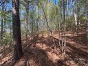 1105 Cleopatra Lane sold home in Connelly Springs, SC