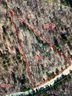 00 Dirksen Avenue sold home in Nebo, SC