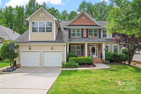 1009 Anduin Falls Drive