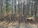 104 Pawnee Court sold home in Statesville, SC