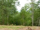240 Thunderhead Drive sold home in Marshall, SC