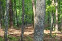 55 Arbra Mountain Way sold home in Bostic, SC