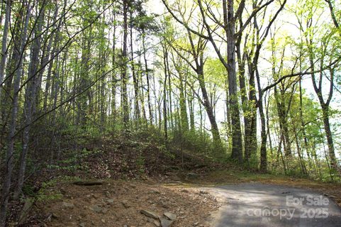 58 Ashewood Mountain Way sold lot in Ashewood, Candler, NC