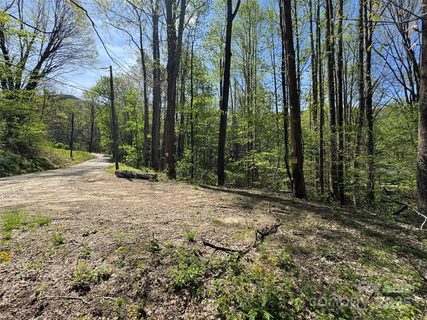 Tbd B Browning Branch Road active home in Chestnut Walk, Waynesville, NC