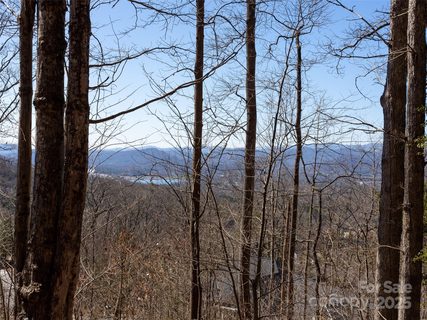 19 Giffords Lane sold lot in Pinchot Forest, Asheville, NC