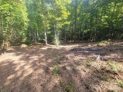 00 Bradford Park sold lot in Bradford Park, Clyde, NC