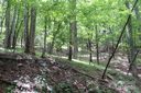 Tbd Poplar Drive sold home in Mills River, SC