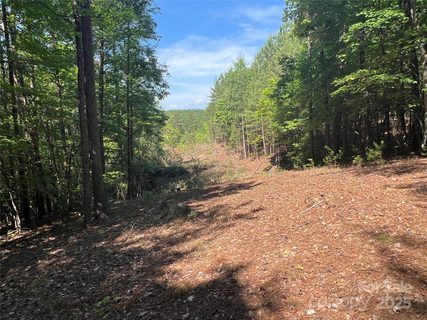 0 South Mountain Drive active home in Pisgah Preserve, Nebo, NC