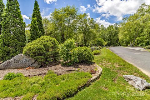 76 Drovers Lane sold home in Drovers Road Preserve, Fairview, NC