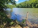 2446 W Paradise Harbor Drive sold home in Connelly Springs, SC