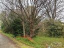 4833 Hickory Grove Road sold home in Charlotte, SC