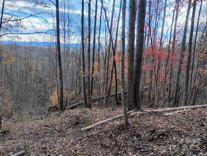 4899 White Oak Way active home in The Coves Mountain River Club, Lenoir, NC
