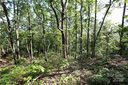 9999 Crestview Drive sold home in Black Mountain, SC