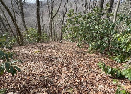Tbd Big Ridge Road